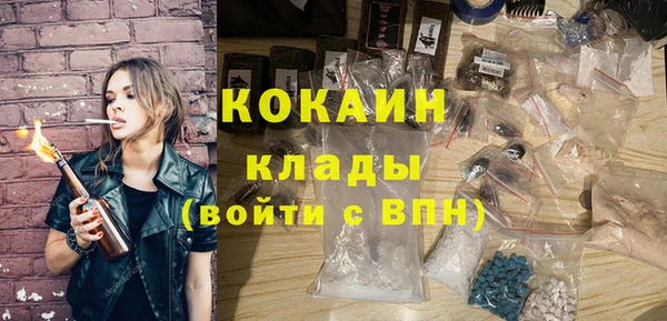 сатива Алзамай