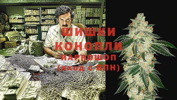 сатива Алзамай