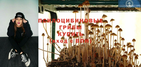 сатива Алзамай