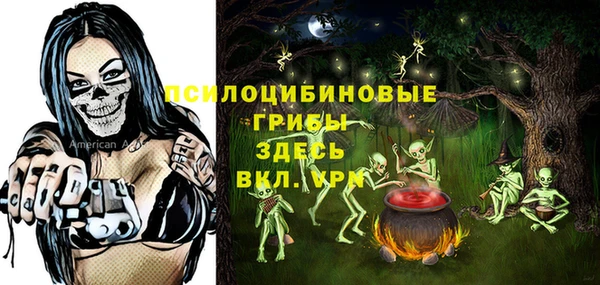 сатива Алзамай